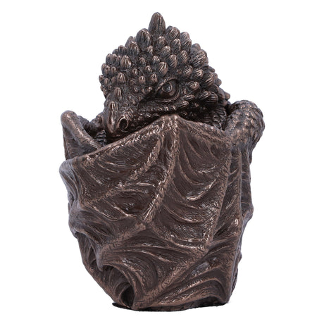 Bronze Dragon Snuggle Box: 3 Boxes By Gift Moments