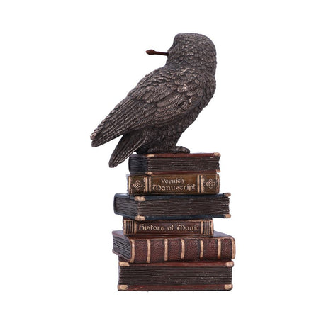 Bronze Spellcraft Witches Familiar Owl on Book Figurine: 4 - Figures & Collectables By Gift Moments