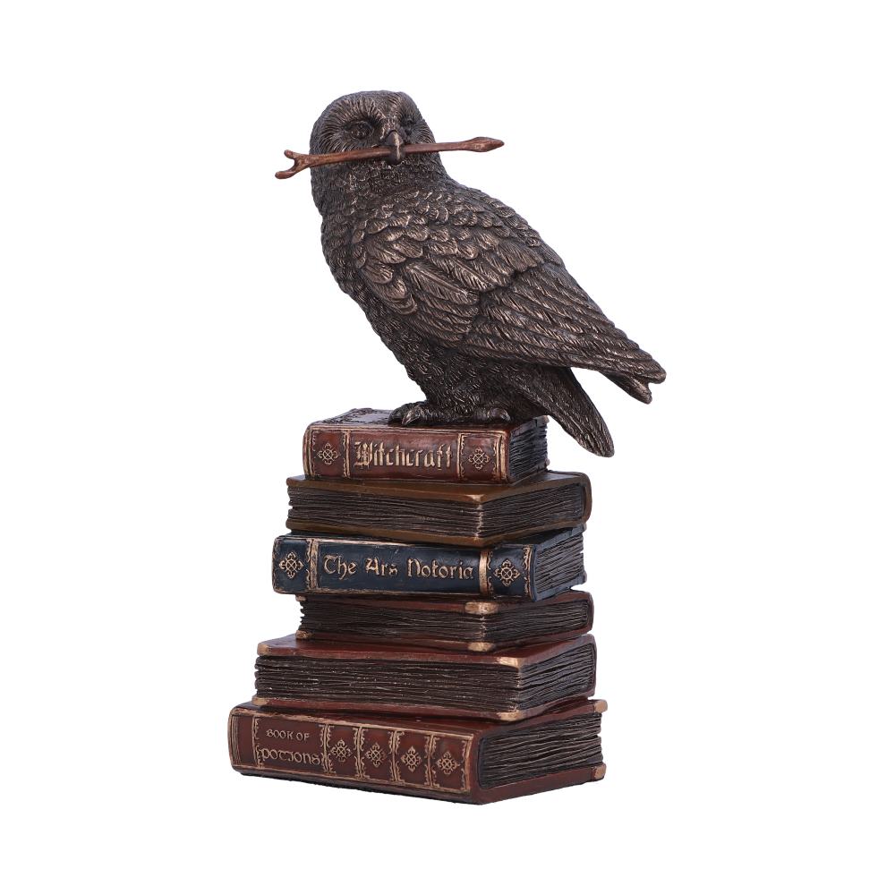 Bronze Spellcraft Witches Familiar Owl on Book Figurine: 2 - Figures & Collectables By Gift Moments