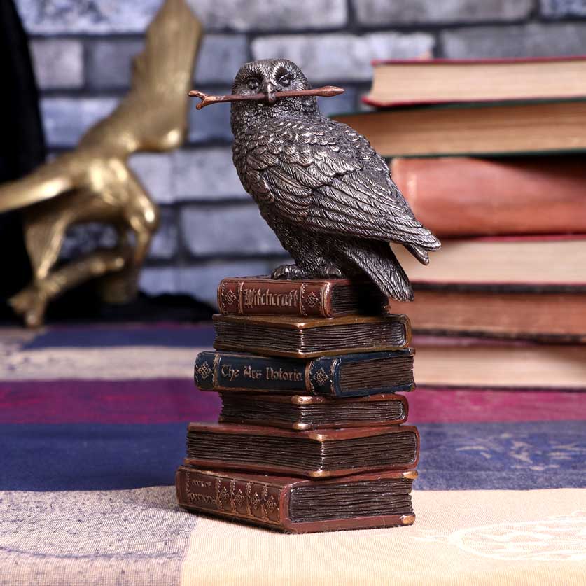 Bronze Spellcraft Witches Familiar Owl on Book Figurine - Shop Figures & Collectables At Gift Moments - 1