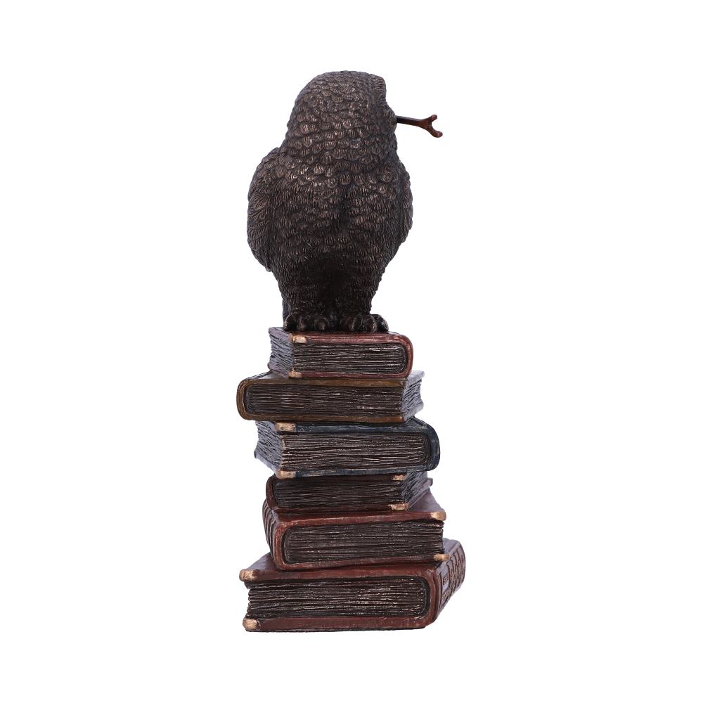 Bronze Spellcraft Witches Familiar Owl on Book Figurine: 5 - Figures & Collectables By Gift Moments
