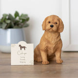 Cockapoo Resin Dog Ornament: 1 - Ornaments By Gift Moments