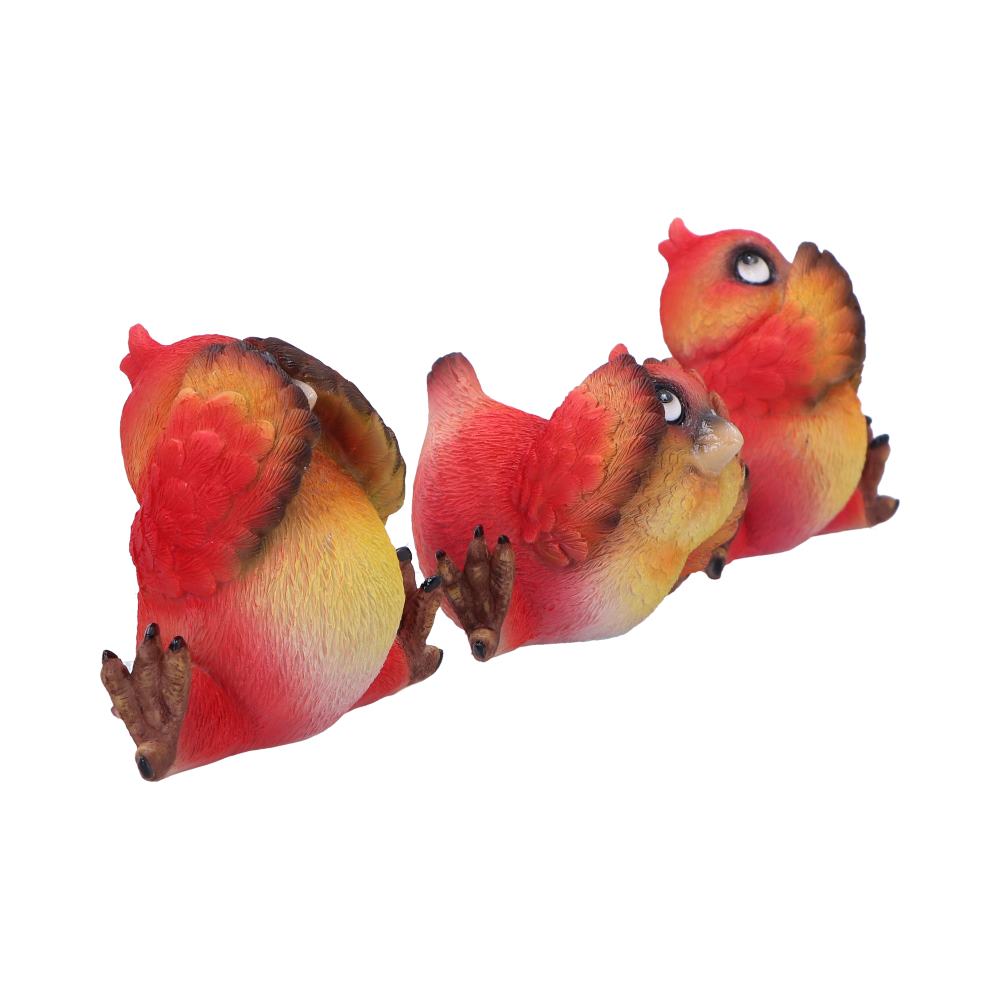 Comical Three Wise Bird Figurines: 5 - Figures & Collectables By Gift Moments