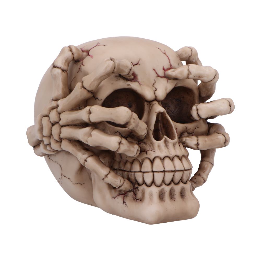 Cracked Decorative Resin Skull: 2 - Figurines Medium (15-29cm) By NN Designs