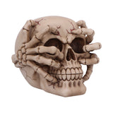Cracked Decorative Resin Skull: 2 - Figurines Medium (15-29cm) By NN Designs