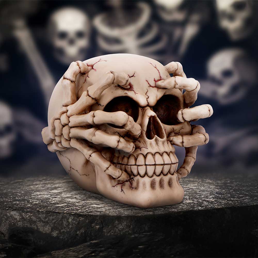 Cracked Decorative Resin Skull: 1 - Figurines Medium (15-29cm) By NN Designs