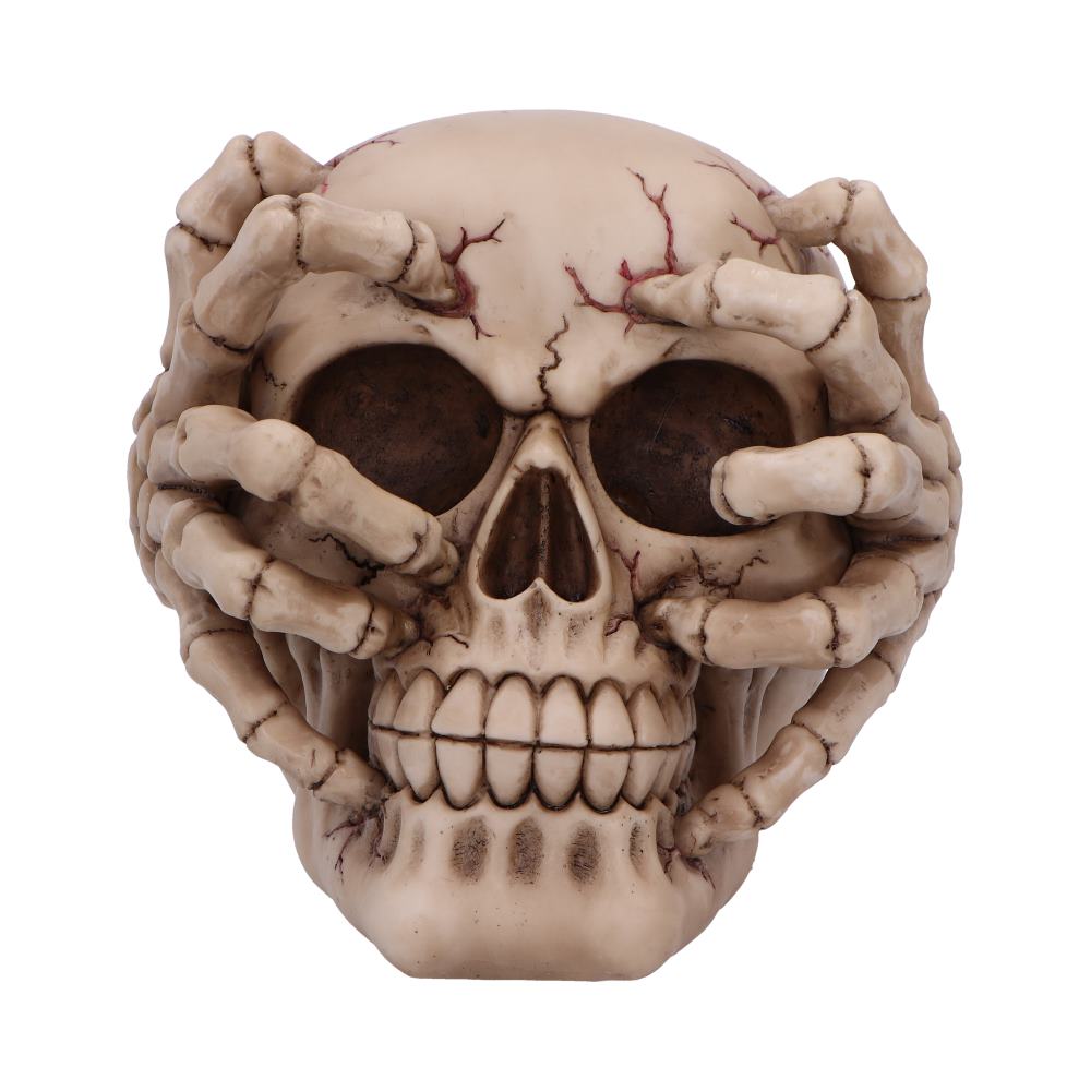 Cracked Decorative Resin Skull: 3 - Figurines Medium (15-29cm) By NN Designs