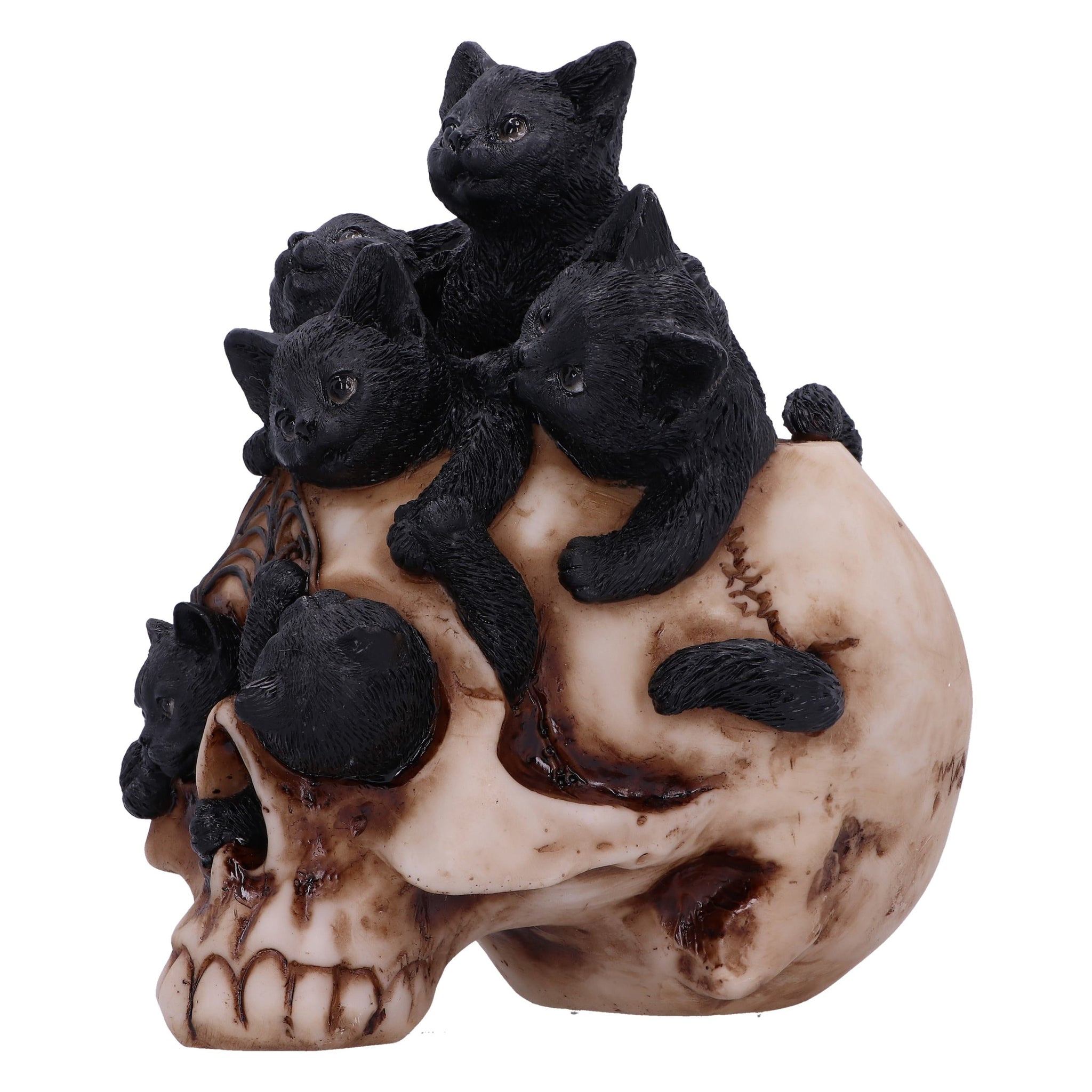 Cranial Litter Skull: 4 - Figures & Collectables By Gift Moments