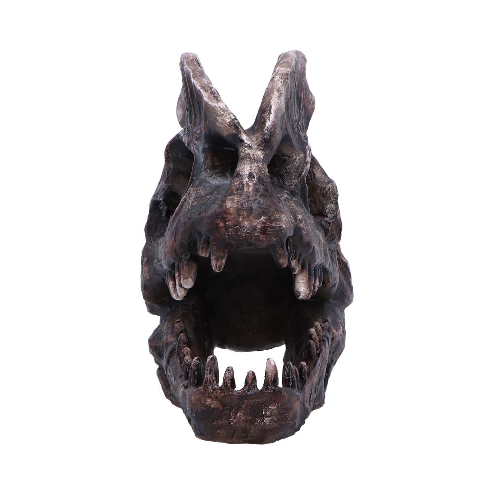 Dilophosaurus Skull Resin Replica - Shop Figurines Medium (15-29cm) At Gift Moments - 3