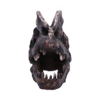 Dilophosaurus Skull Resin Replica - Shop Figurines Medium (15-29cm) At Gift Moments - 3