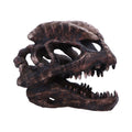 Dilophosaurus Skull Resin Replica - Shop Figurines Medium (15-29cm) At Gift Moments - 2