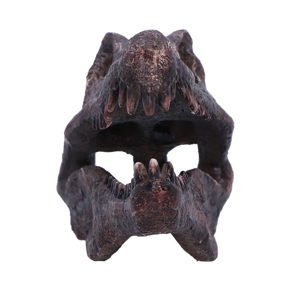 Spinosaurus Skull Resin Replica