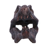 Spinosaurus Skull Resin Replica