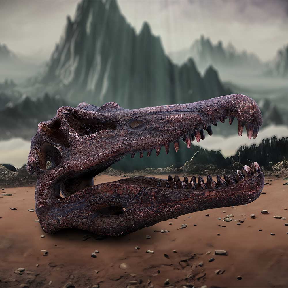 Spinosaurus Skull Resin Replica - Shop Figurines Medium (15-29cm) At Gift Moments - 1
