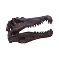 Spinosaurus Skull Resin Replica - Shop Figurines Medium (15-29cm) At Gift Moments - 2