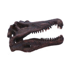 Spinosaurus Skull Resin Replica - Shop Figurines Medium (15-29cm) At Gift Moments - 2