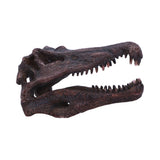 Spinosaurus Skull Resin Replica