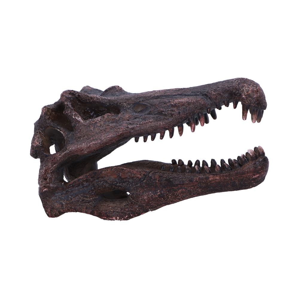 Spinosaurus Skull Resin Replica