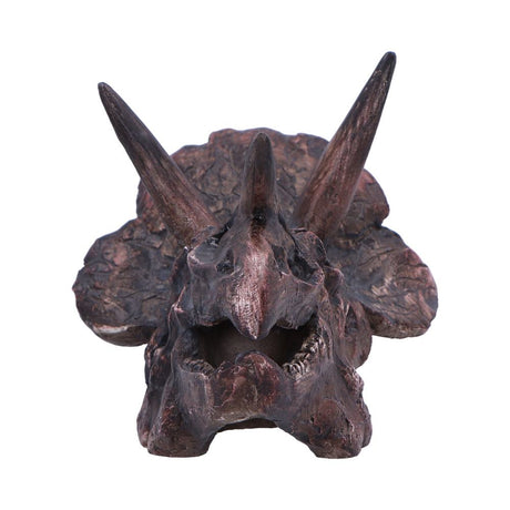 Triceratops Skull Resin Replica - Shop Figurines Medium (15-29cm) At Gift Moments - 3