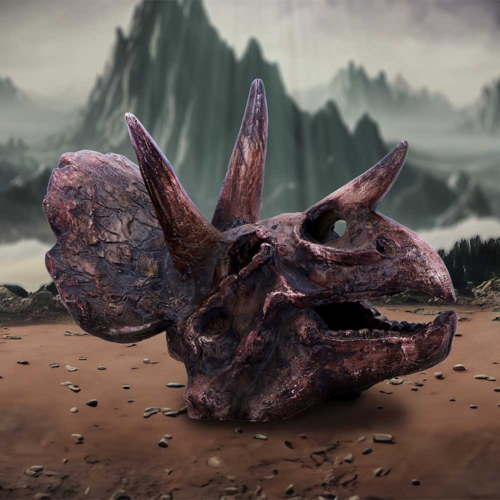 Triceratops Skull Resin Replica - Shop Figurines Medium (15-29cm) At Gift Moments - 1