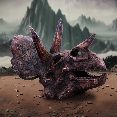 Triceratops Skull Resin Replica - Shop Figurines Medium (15-29cm) At Gift Moments - 1