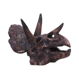 Triceratops Skull Resin Replica