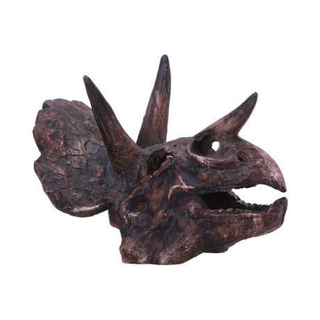 Triceratops Skull Resin Replica - Shop Figurines Medium (15-29cm) At Gift Moments - 2