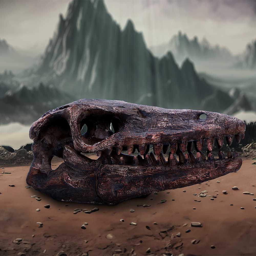 Archaeopteryx Skull Decorative Resin Replica