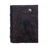 Raven's Grimoire Journal 19cm
