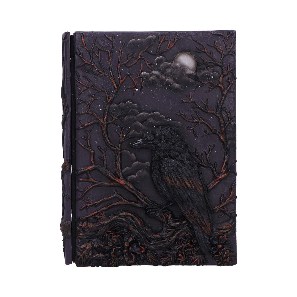 Raven’s Grimoire Journal 19cm - Shop Journals & Notebooks At Gift Moments - 1