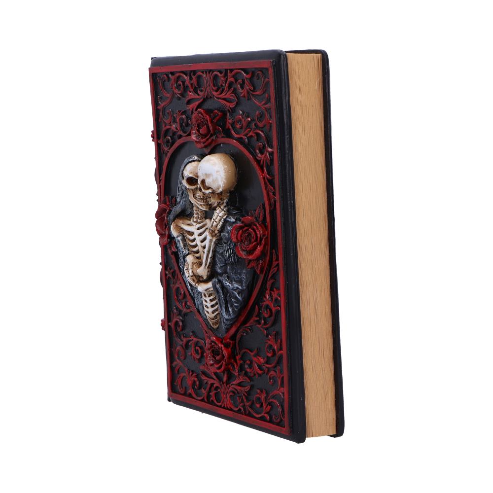 Raven's Grimoire Journal 19cm
