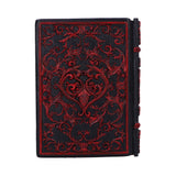 Raven's Grimoire Journal 19cm