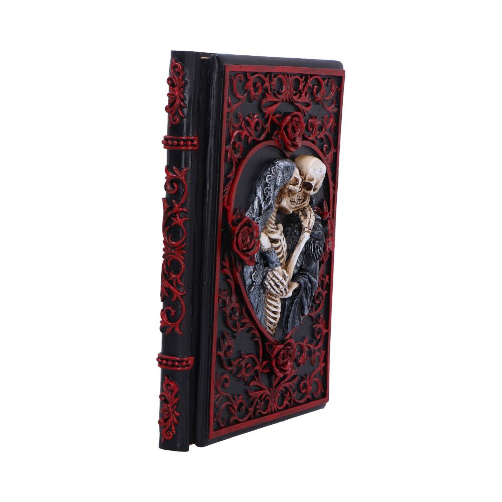 Raven's Grimoire Journal 19cm
