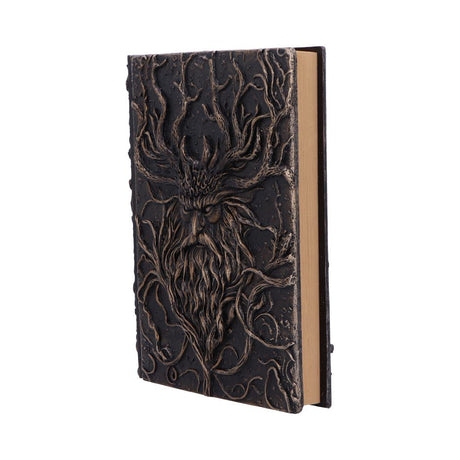 Forest Grimoire Journal 19cm - Shop Journals & Notebooks At Gift Moments - 4
