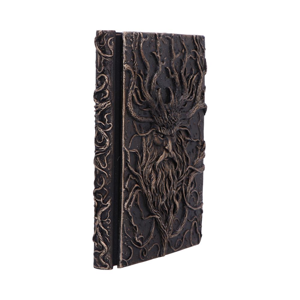 Forest Grimoire Journal 19cm - Shop Journals & Notebooks At Gift Moments - 6
