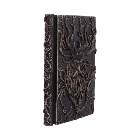 Forest Grimoire Journal 19cm - Shop Journals & Notebooks At Gift Moments - 6