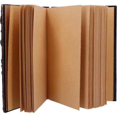 Forest Grimoire Journal 19cm - Shop Journals & Notebooks At Gift Moments - 3