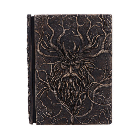 Forest Grimoire Journal 19cm - Shop Journals & Notebooks At Gift Moments - 2