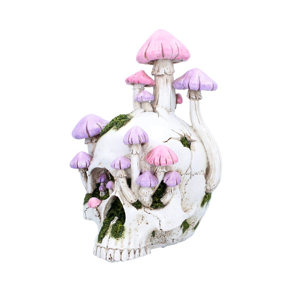 Sporebound Skull Figurine 29.5cm - Shop Figurines Medium (15-29cm) At Gift Moments - 3