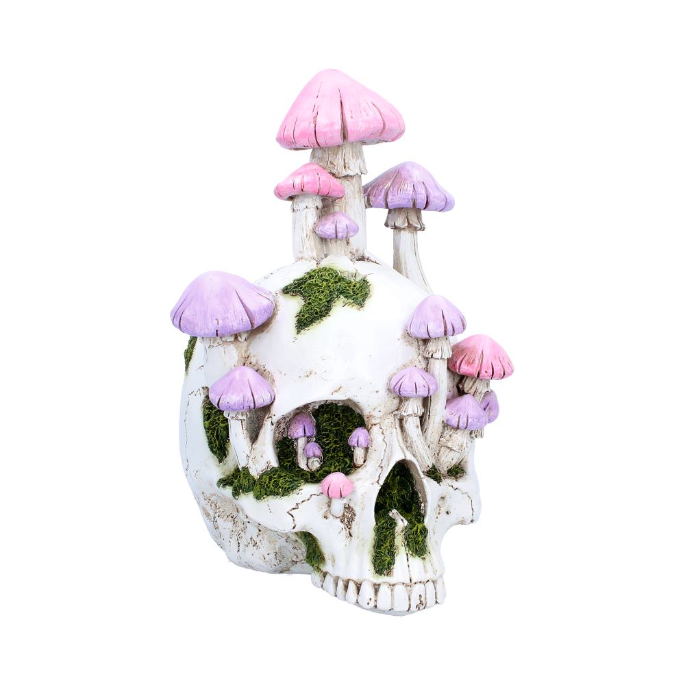 Sporebound Skull Figurine 29.5cm - Shop Figurines Medium (15-29cm) At Gift Moments - 2