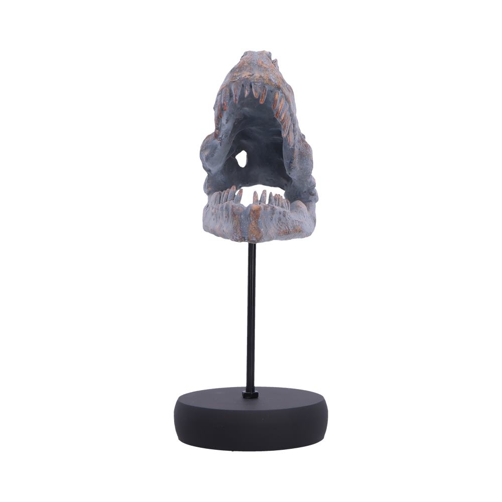 Tyrannosaurus Rex Skull on Plinth 24.2cm