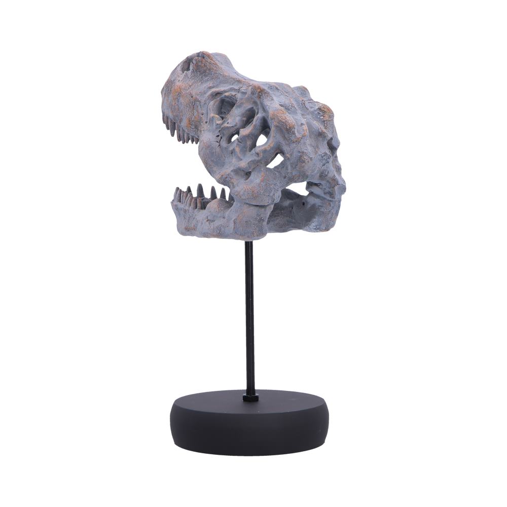 Tyrannosaurus Rex Skull on Plinth 24.2cm