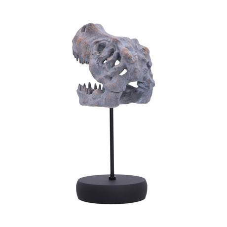 Tyrannosaurus Rex Skull on Plinth 24.2cm - Shop Figurines Medium (15-29cm) At Gift Moments - 4