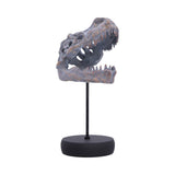Tyrannosaurus Rex Skull on Plinth 24.2cm