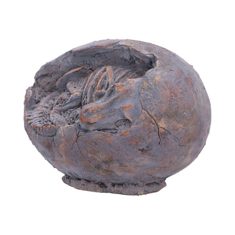 Tyrannosaurus Rex Egg Figurine 13.3cm - Shop Figurines Medium (15-29cm) At Gift Moments - 3