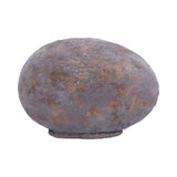 Tyrannosaurus Rex Egg Figurine 13.3cm - Shop Figurines Medium (15-29cm) At Gift Moments - 4