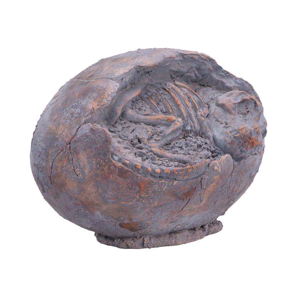 Tyrannosaurus Rex Egg Figurine 13.3cm - Shop Figurines Medium (15-29cm) At Gift Moments - 5