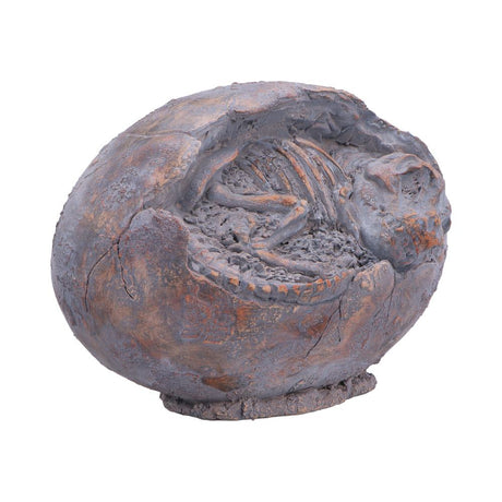 Tyrannosaurus Rex Egg Figurine 13.3cm - Shop Figurines Medium (15-29cm) At Gift Moments - 5
