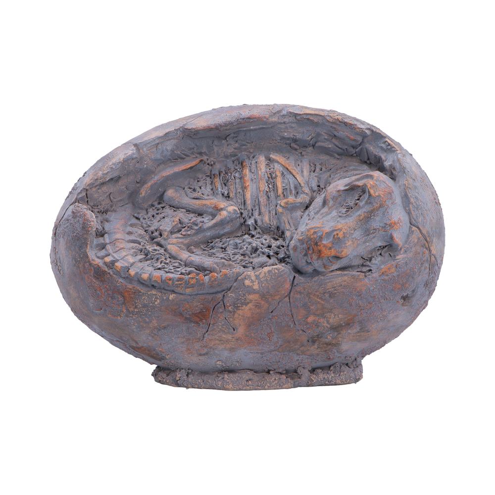 Tyrannosaurus Rex Egg Figurine 13.3cm - Shop Figurines Medium (15-29cm) At Gift Moments - 2