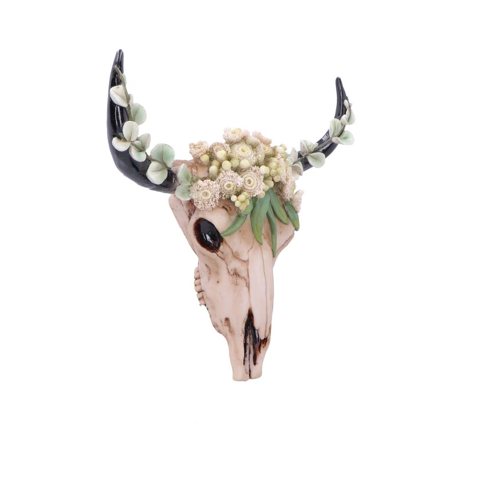 Floral Crown Skull Ornament 27.5cm - Shop Wall Hanging Sculptures At Gift Moments - 4